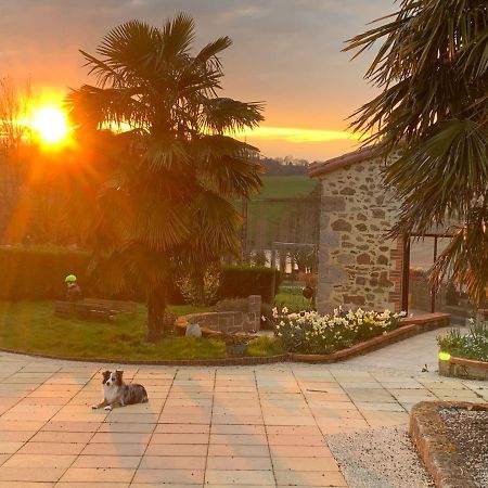 La Basse Monniere Bed & Breakfast Sevremont Luaran gambar