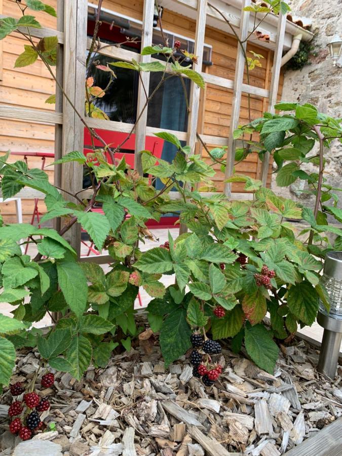 La Basse Monniere Bed & Breakfast Sevremont Luaran gambar